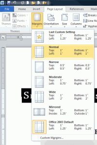 MS Word 2010 - Margins Screenshot