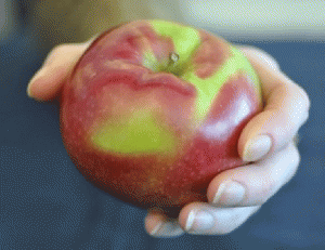 apple-and-hand